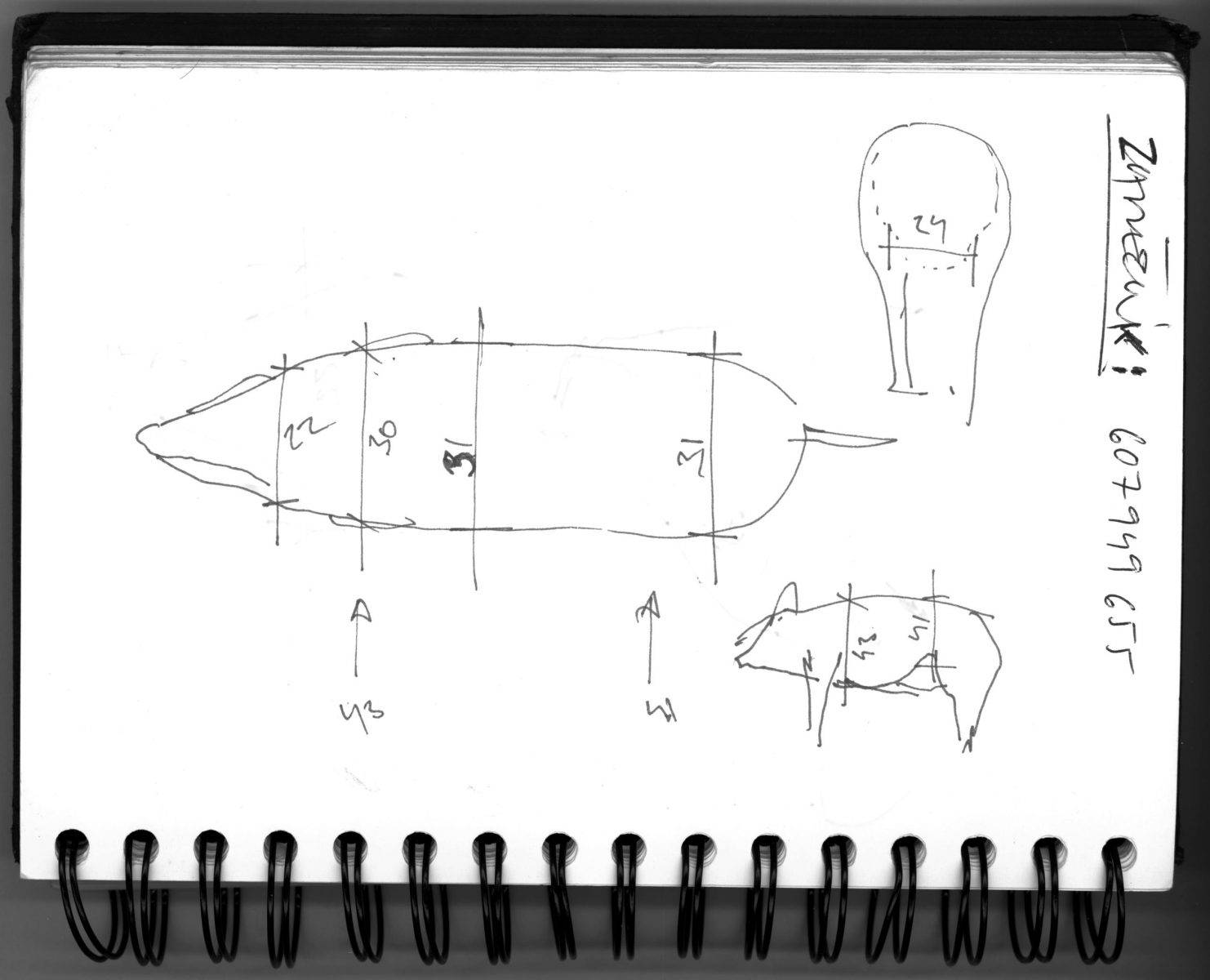 Pig by Jan Kadlec