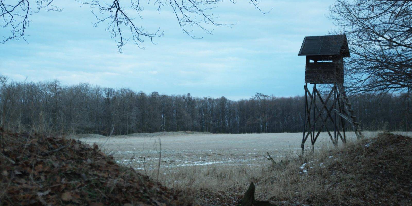 Fallow deer hunting by Jan Kadlec