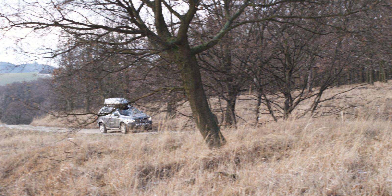 Fallow deer hunting by Jan Kadlec