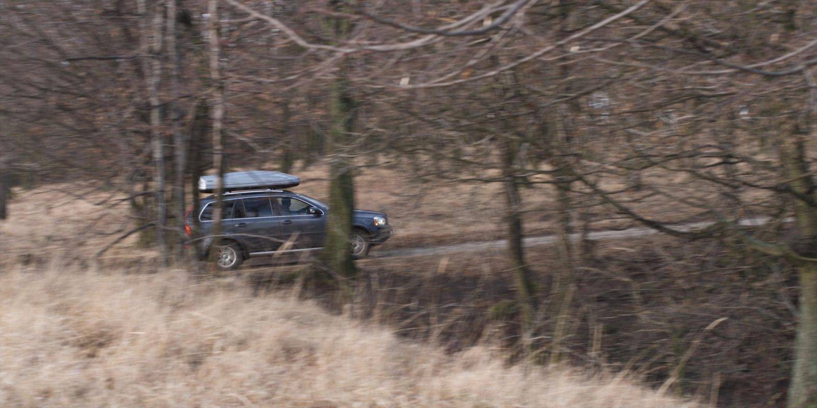 Fallow deer hunting by Jan Kadlec