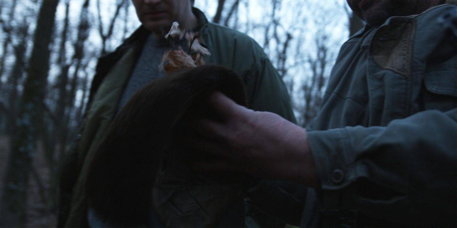 Fallow deer hunting by Jan Kadlec