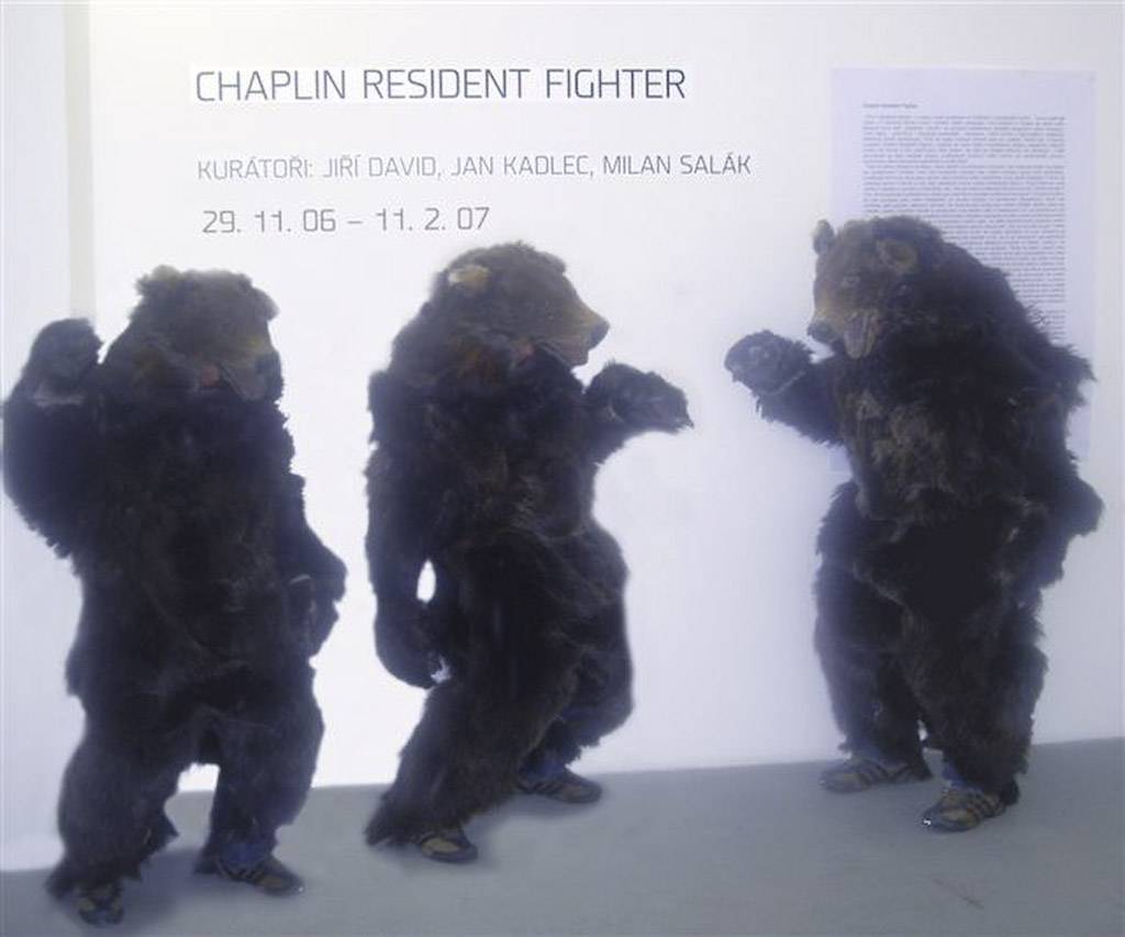 Chaplin resident fighter by Jan Kadlec