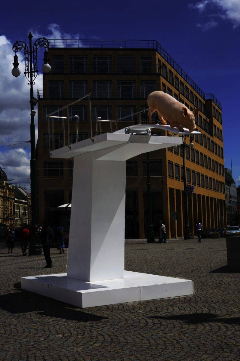 Pig by Jan Kadlec