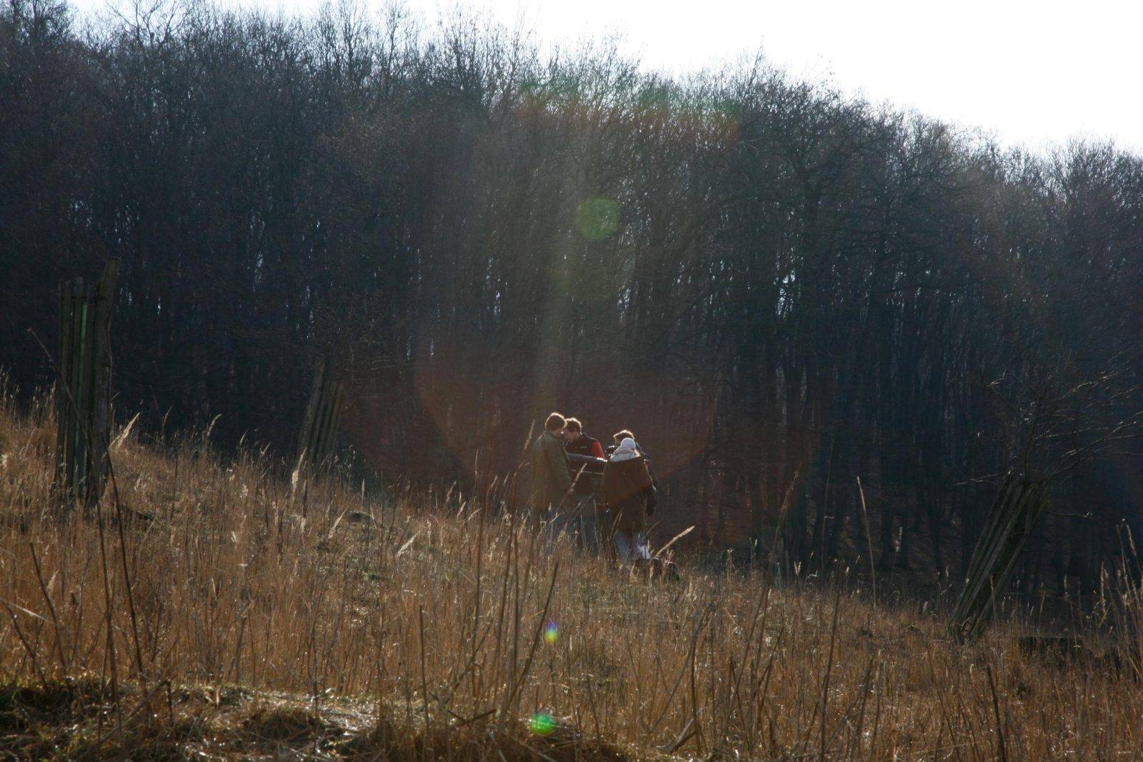 Fallow deer hunting by Jan Kadlec