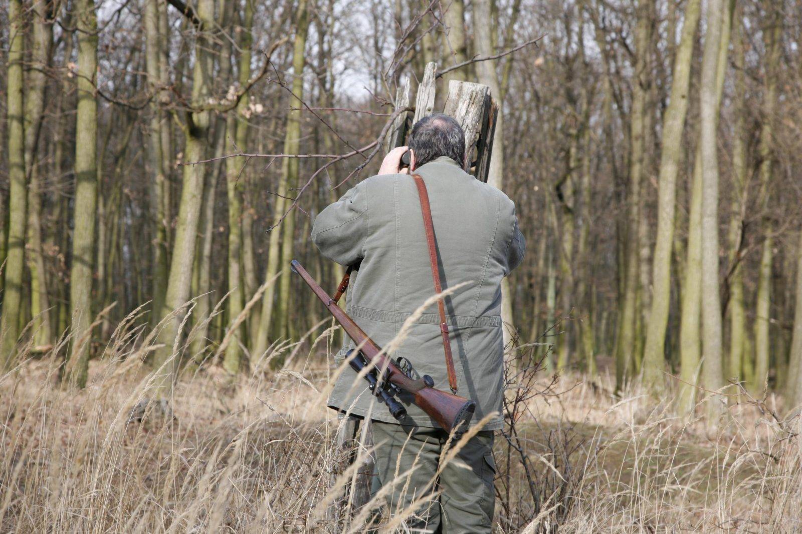 Fallow deer hunting by Jan Kadlec