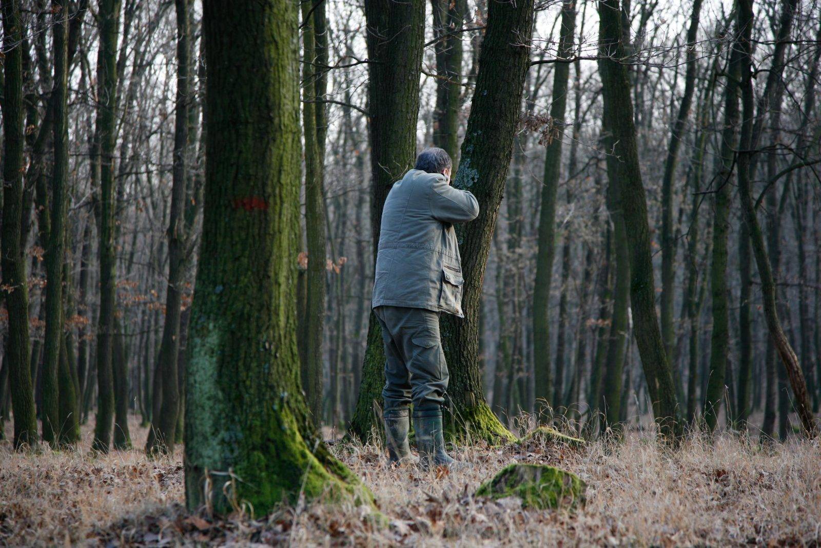 Fallow deer hunting by Jan Kadlec